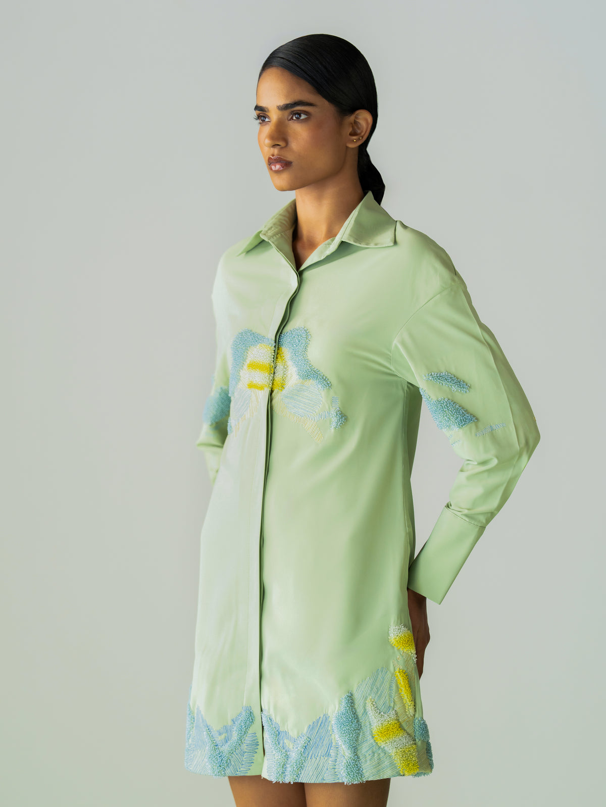 Coreline Shirt Dress