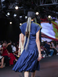 Chheeta Pleat Dress